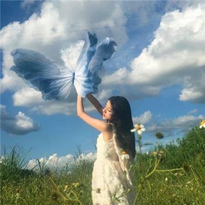 断线森林2 在线观看