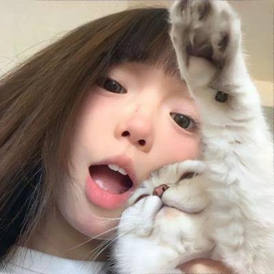 肥猫正传粤语 在线观看